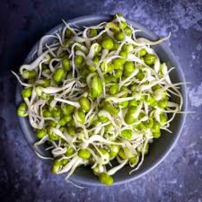 MUNG BEAN SPROUTS